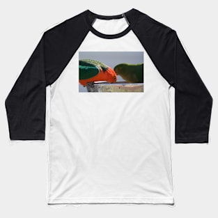 Australian King Parrots #1 Baseball T-Shirt